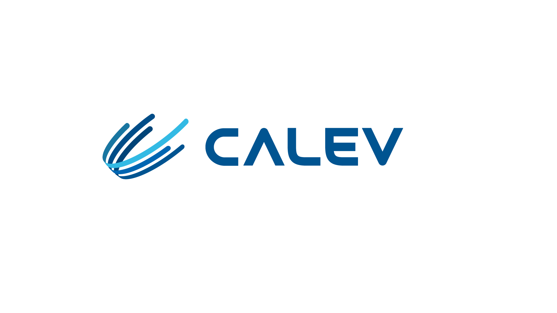 Calev Consulting Spa